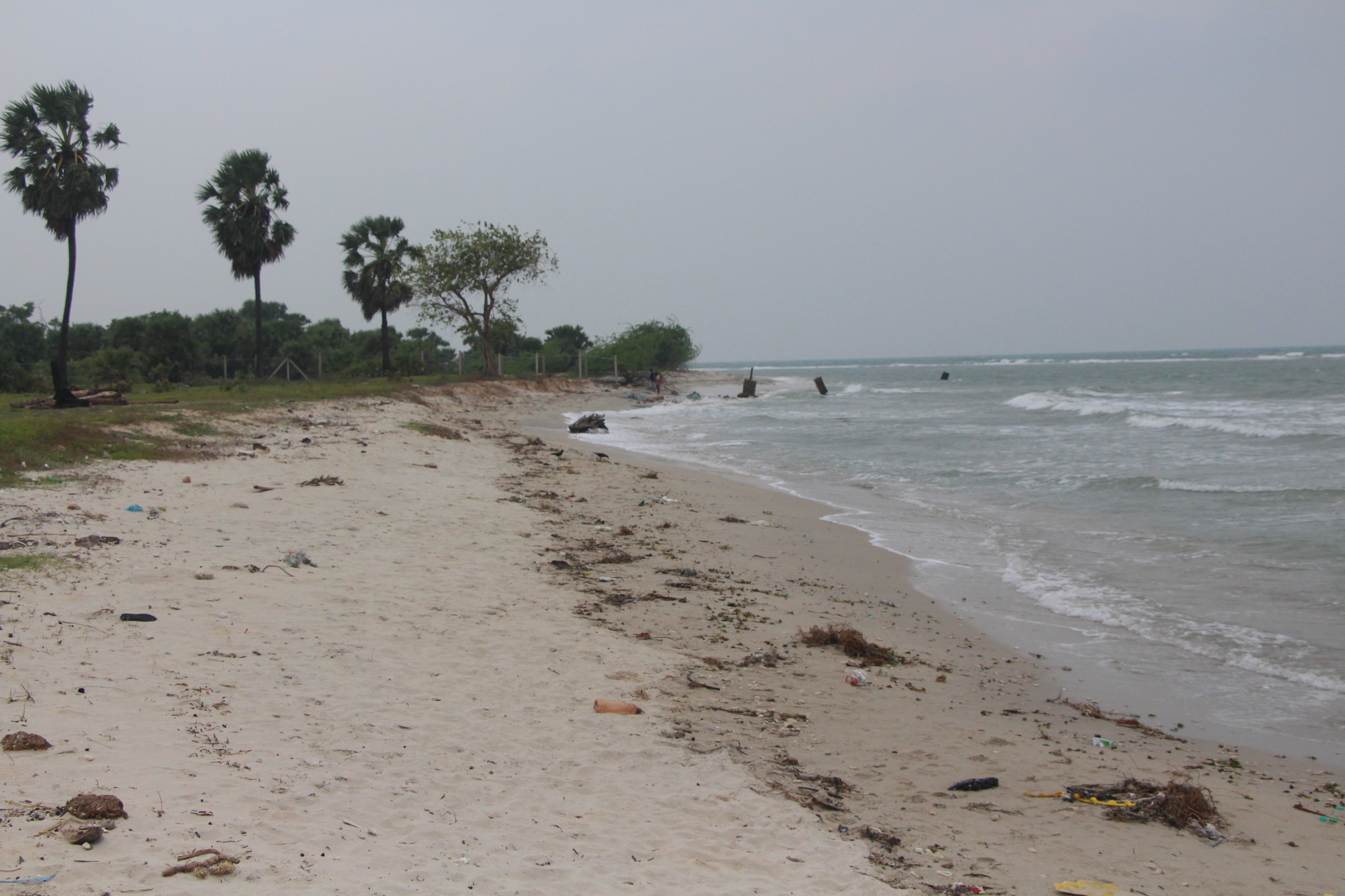 function/uploads/cultural/Akkarai Beach.JPG
